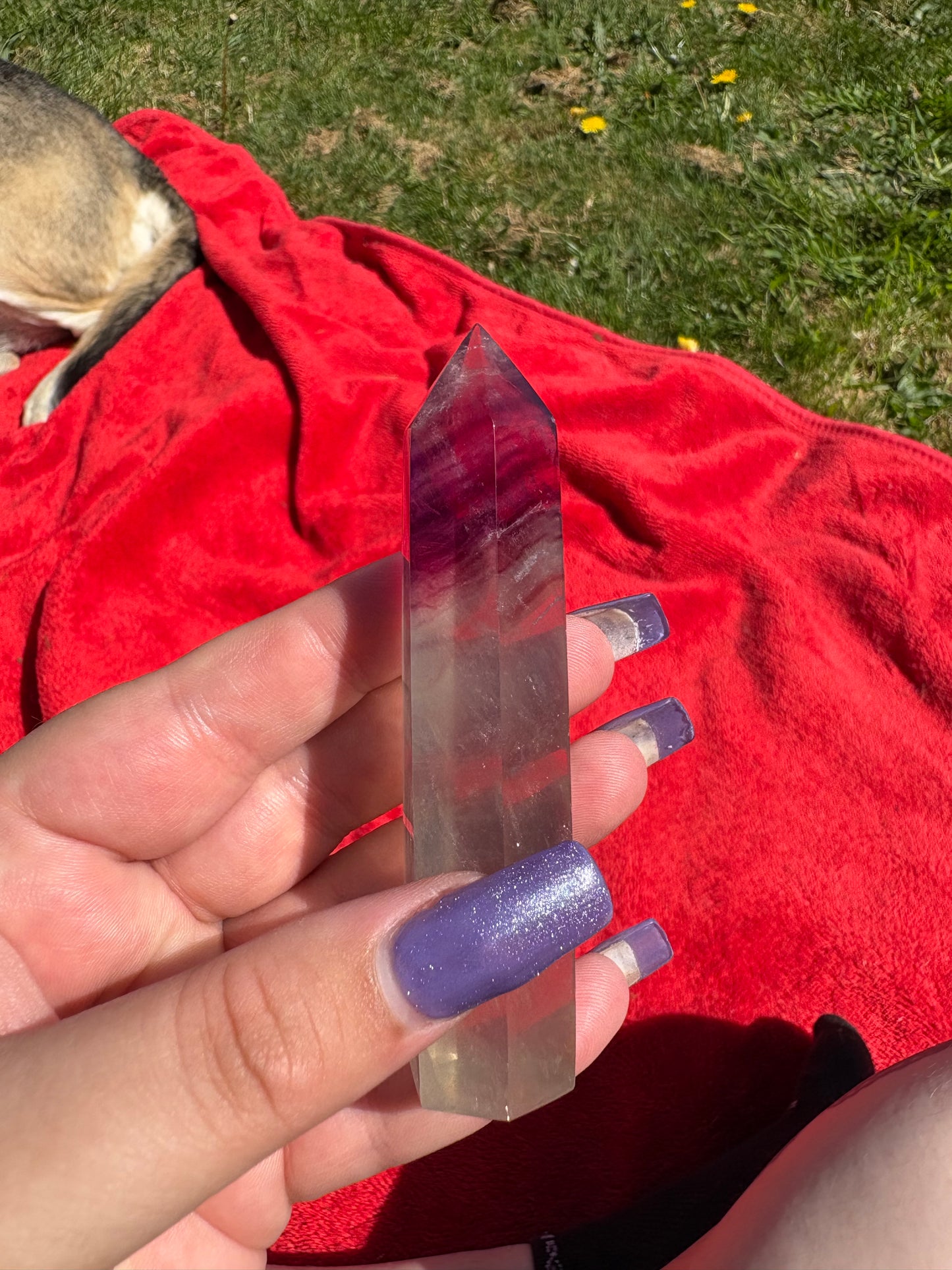 Green and purple fluorite points