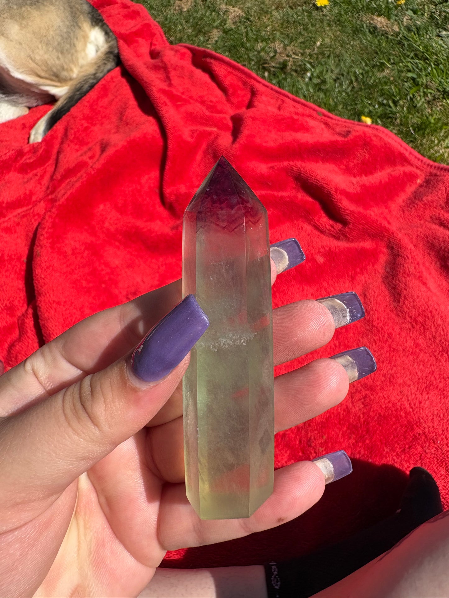 Green and purple fluorite points