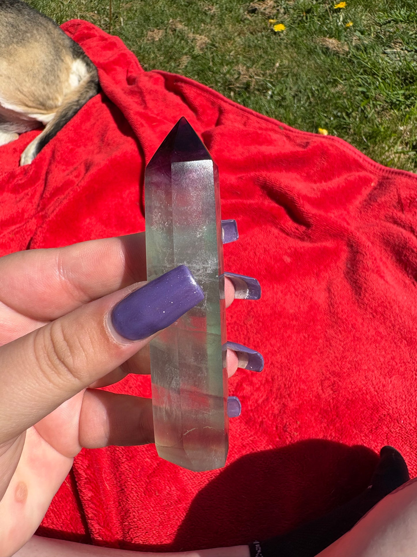 Green and purple fluorite points