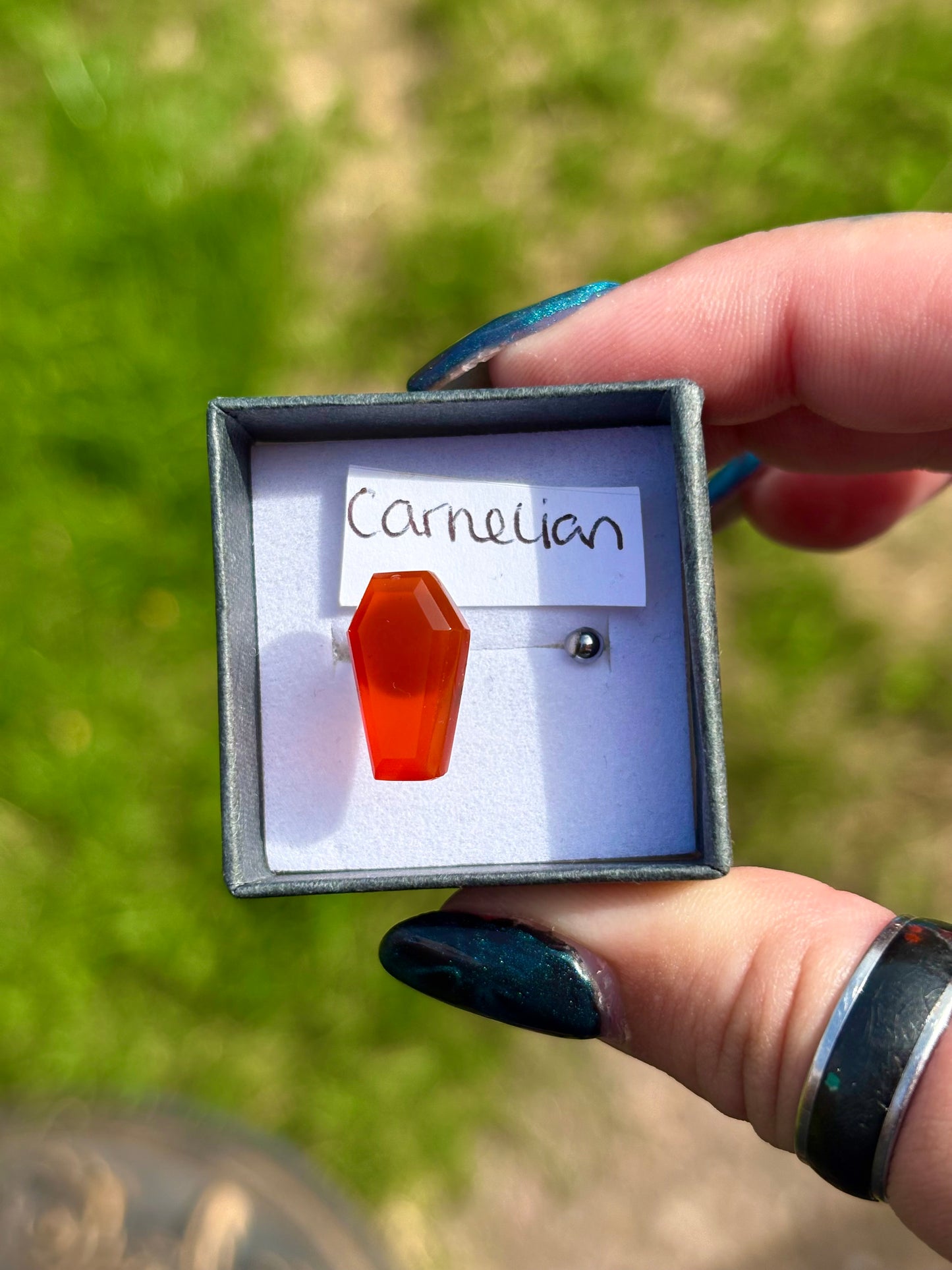 Crystal coffin stainless steel adjustable rings